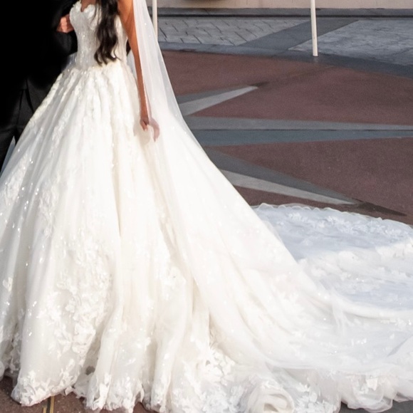 Disney Cinderella Inspired Wedding Dress